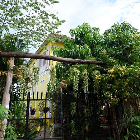 Homestay Yellow Natural House Siem Reap Zewnętrze zdjęcie