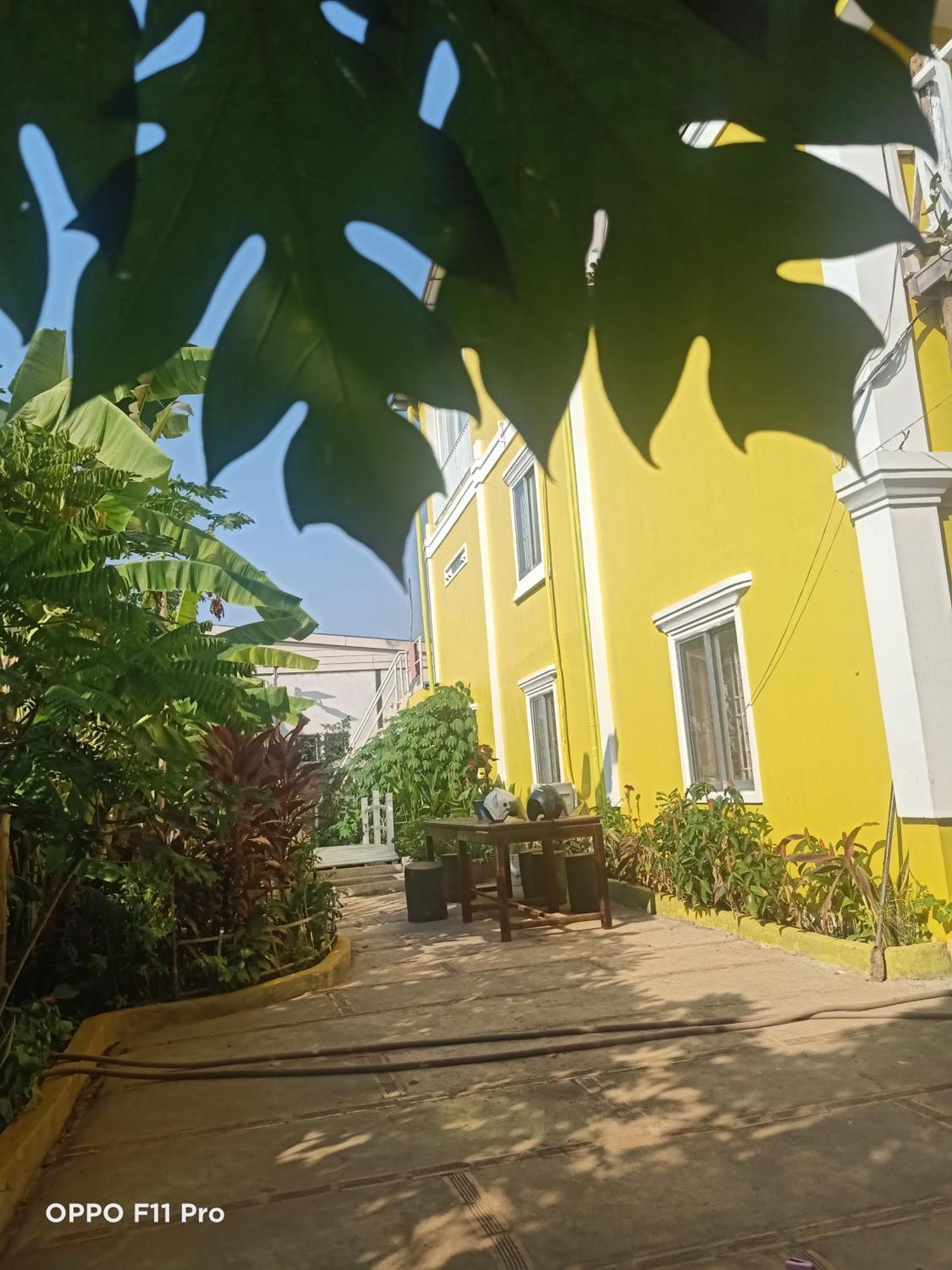 Homestay Yellow Natural House Siem Reap Zewnętrze zdjęcie