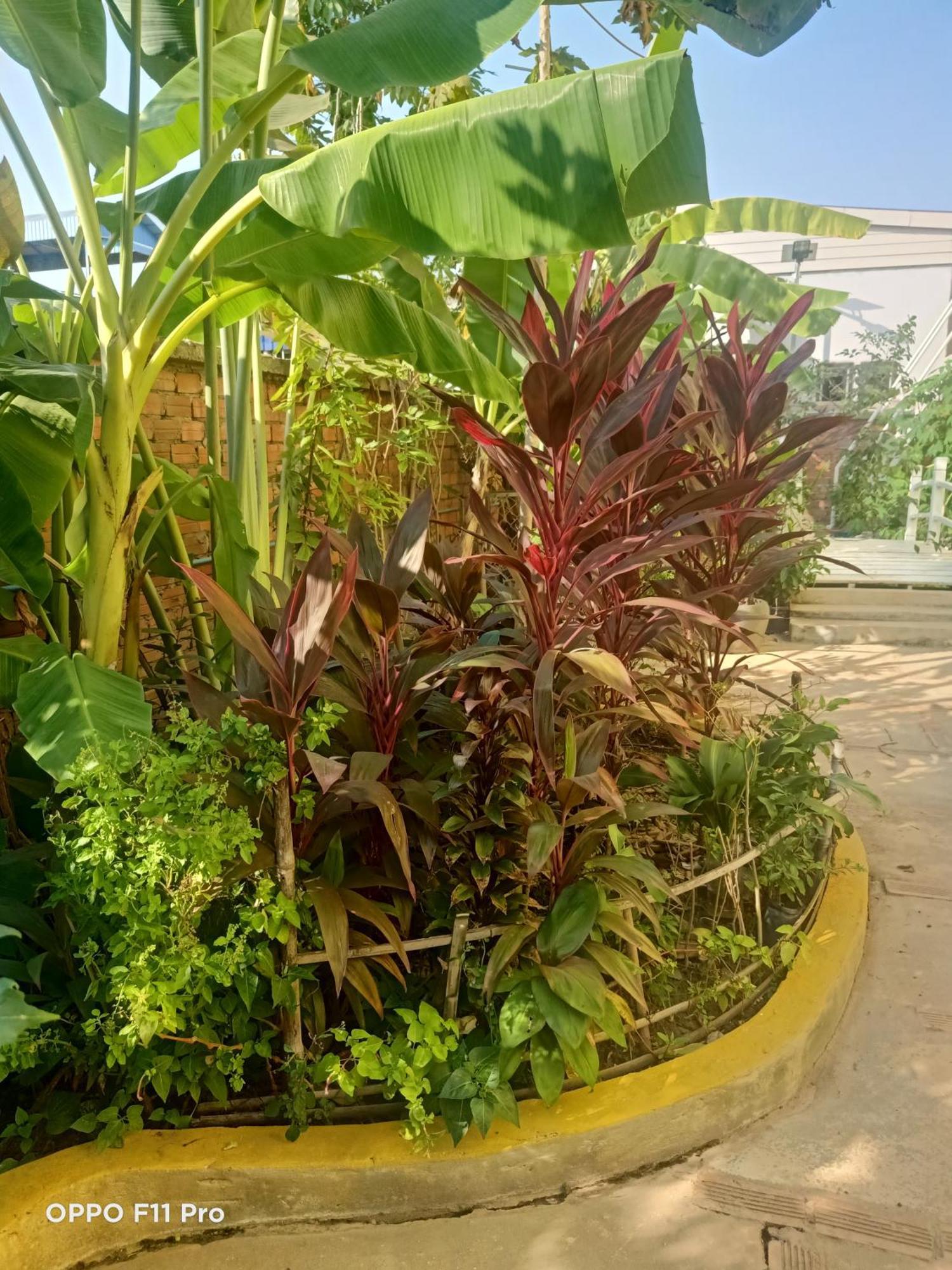 Homestay Yellow Natural House Siem Reap Zewnętrze zdjęcie