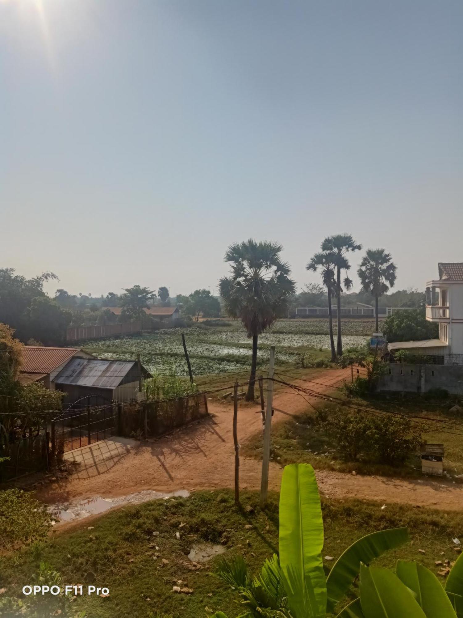 Homestay Yellow Natural House Siem Reap Zewnętrze zdjęcie